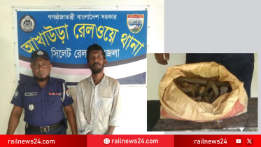 আখাউড়ায় রেললাইনের নাট-বল্টু ও ফিসপ্লেট খুলে বিক্রির চেষ্টায় পিডব্লিউ কর্মচারী আটক