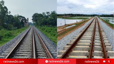 রেলওয়ের লাগানো সাড়ে ৪ লাখ চারা লাপাত্তা