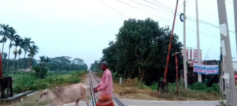 শায়েস্তাগঞ্জের কুতুবের চক রেলগেটে দীর্ঘ সময় গেইটম্যান অনুপস্থিতির অভিযোগনিরাপত্তা জোরদারের দাবি স্থানীয়দের
