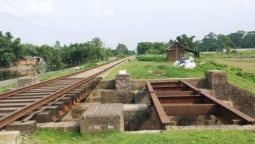 ট্রেনে ভারতে পৌঁছে দেয়ার আশ্বাস দিয়ে ৪৩৭ জন নিরীহ মানুষকে ক*চু*কা*টা করা হয়েছিলো