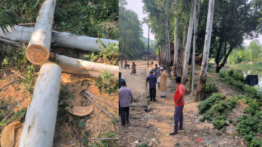 রেলের গাছ কর্তন, অবশেষে জব্দ অপরাধীর বিরুদ্ধে নিরব কর্তৃপক্ষ