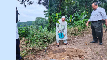 সবুজ বাংলাদেশ গড়তে রেলওয়ে পূর্বাঞ্চলের বৃক্ষরোপণ উদ্যোগ