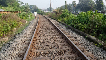 কালীগঞ্জে ট্রেনে কাটা পড়ে এক ব্যক্তির মৃত্যুকালীগঞ্জে ট্রেনে কাটা পড়ে এক ব্যক্তির মৃত্যু